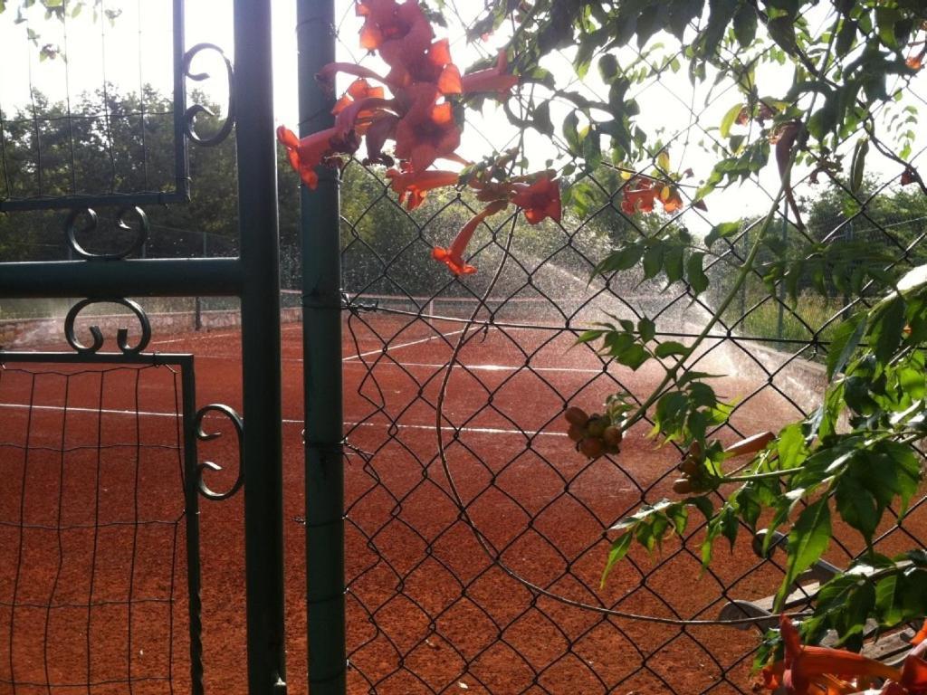 Villa in Funtana with private Tenniscourt  Exterior foto